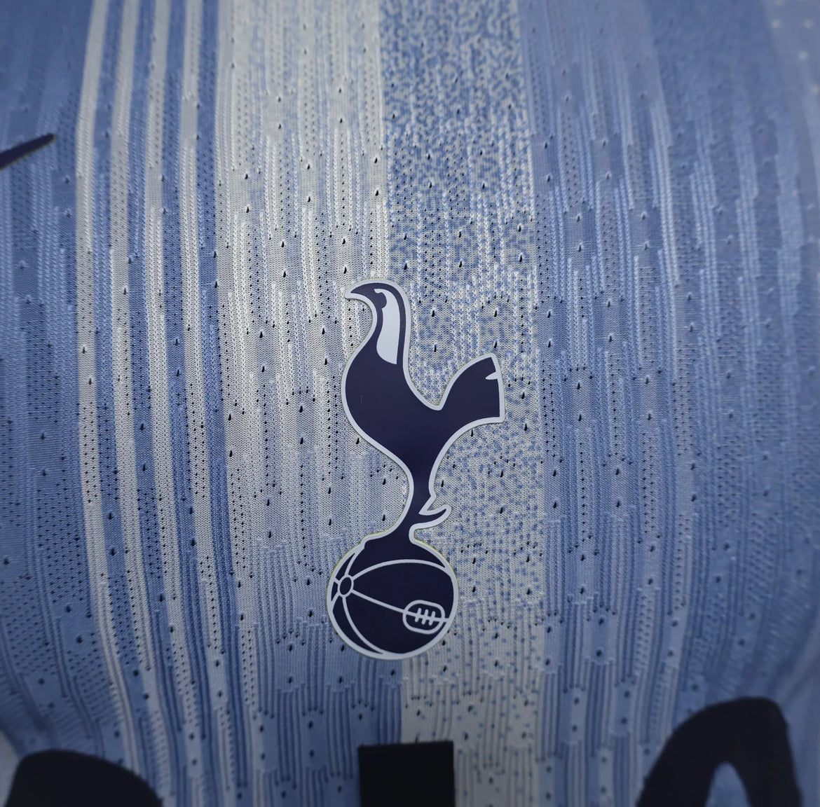 Tottenham 2024-2025 Away Kit